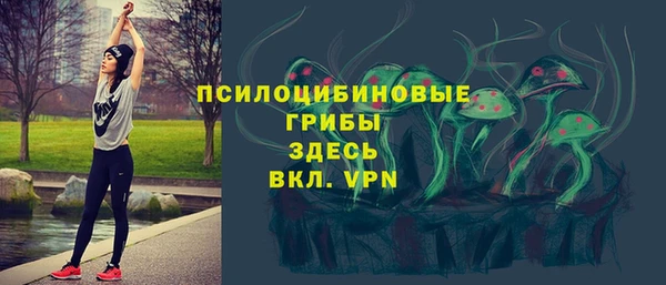 эйфоретик Абинск
